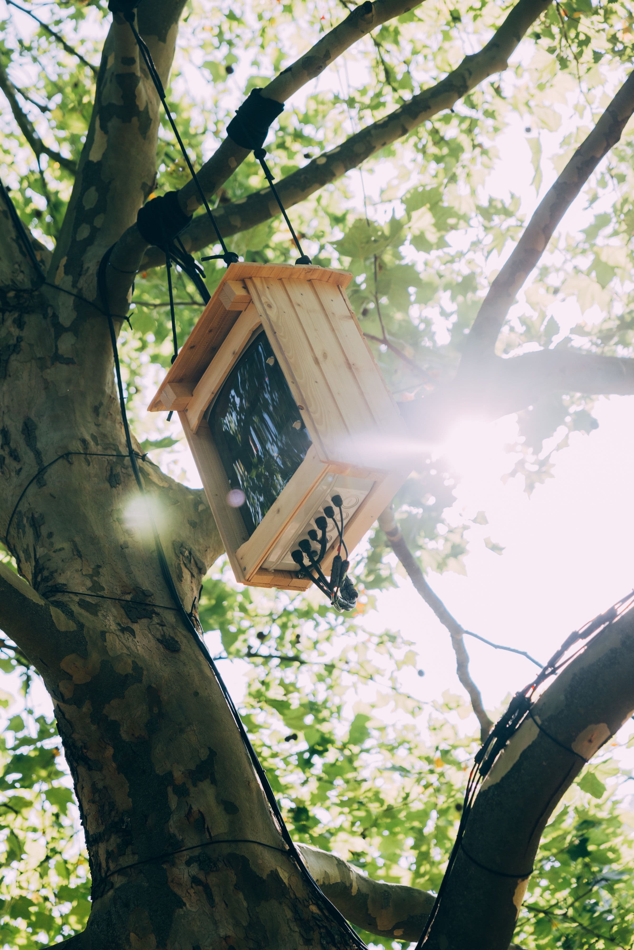 Im Frankfurter Metzlerpark hängt die Soundinstallation Radical Climate Action Bird von Künstler Dennis Siering