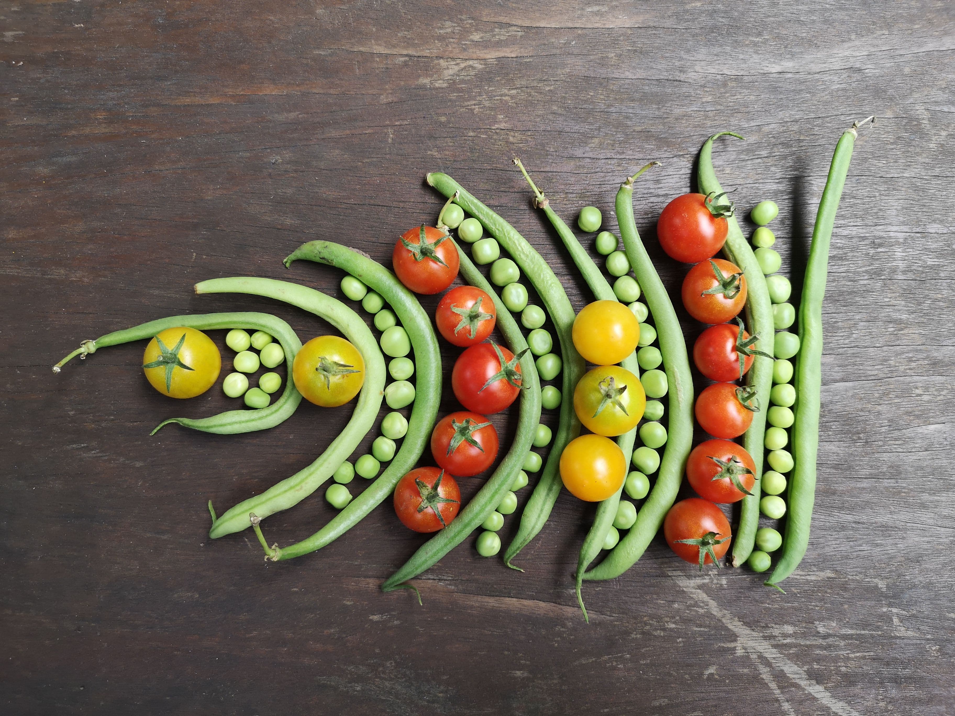 Ute Ritschel, Democratic Food, 2026
