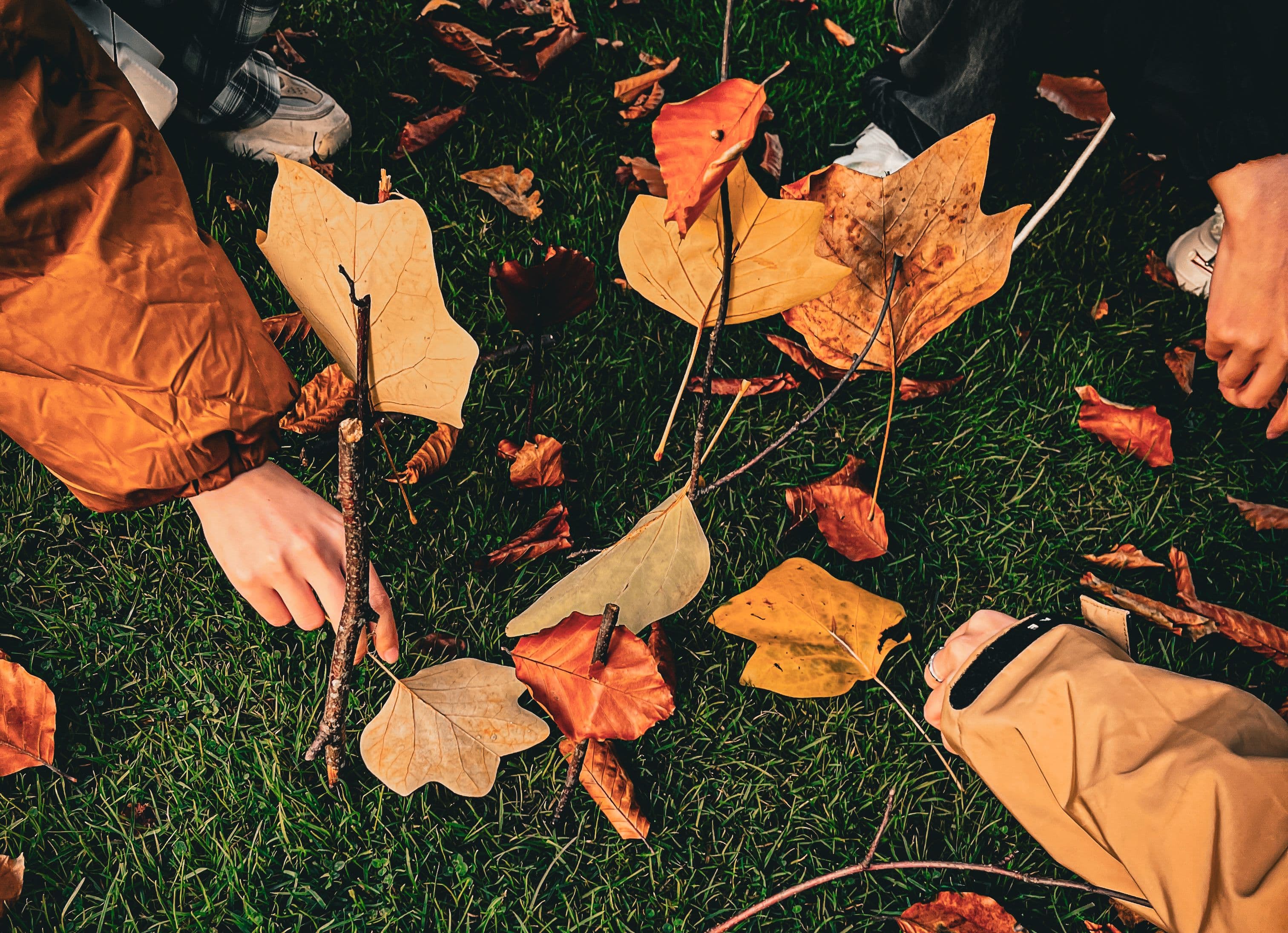 Forest Designworkshop – Learn from Nature, Design the Future