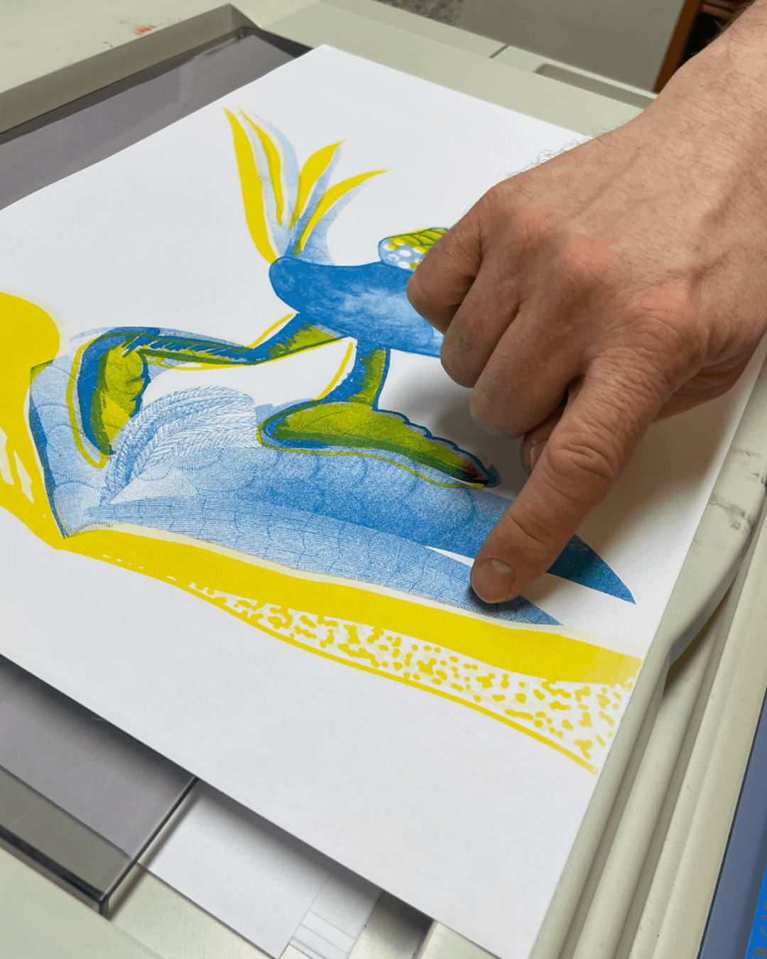 Eine Hand zeigt auf einen Risodruck