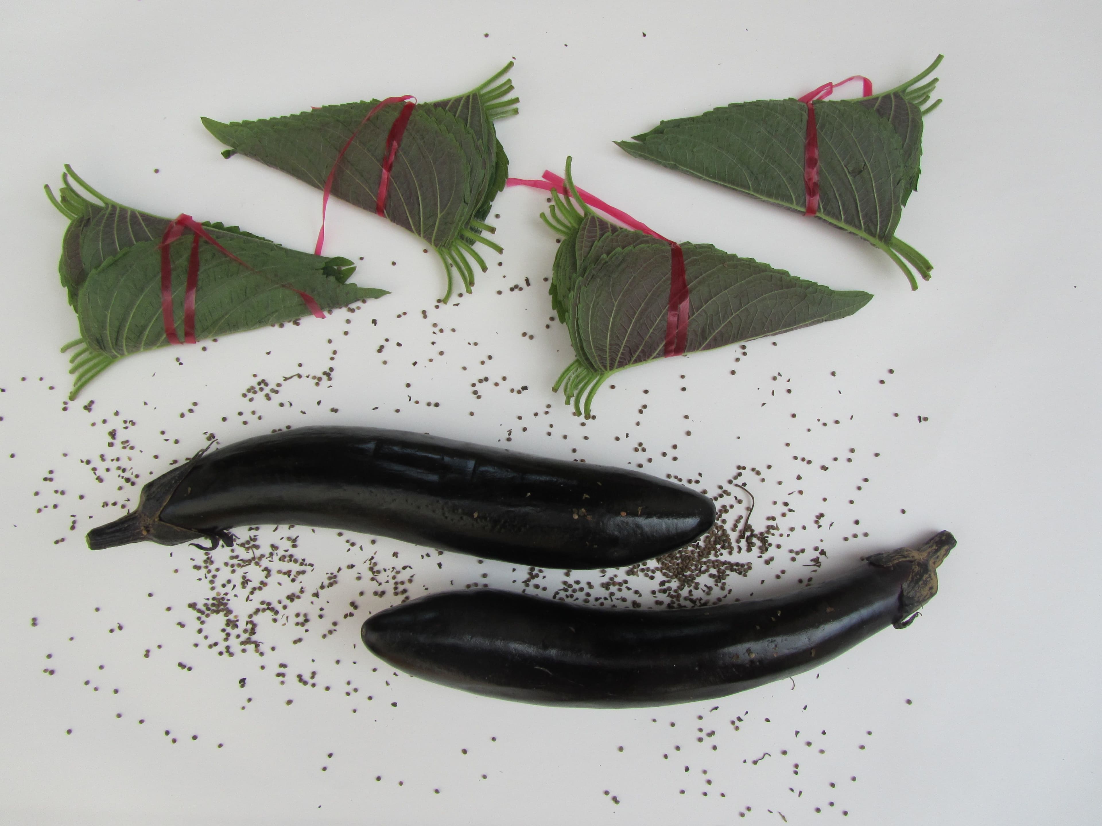 Ute Ritschel, Eat Art
