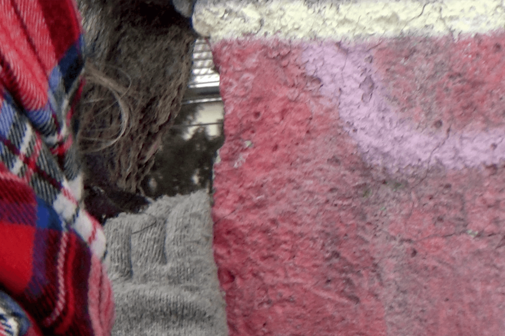 Kunstwerk von François Pisapia