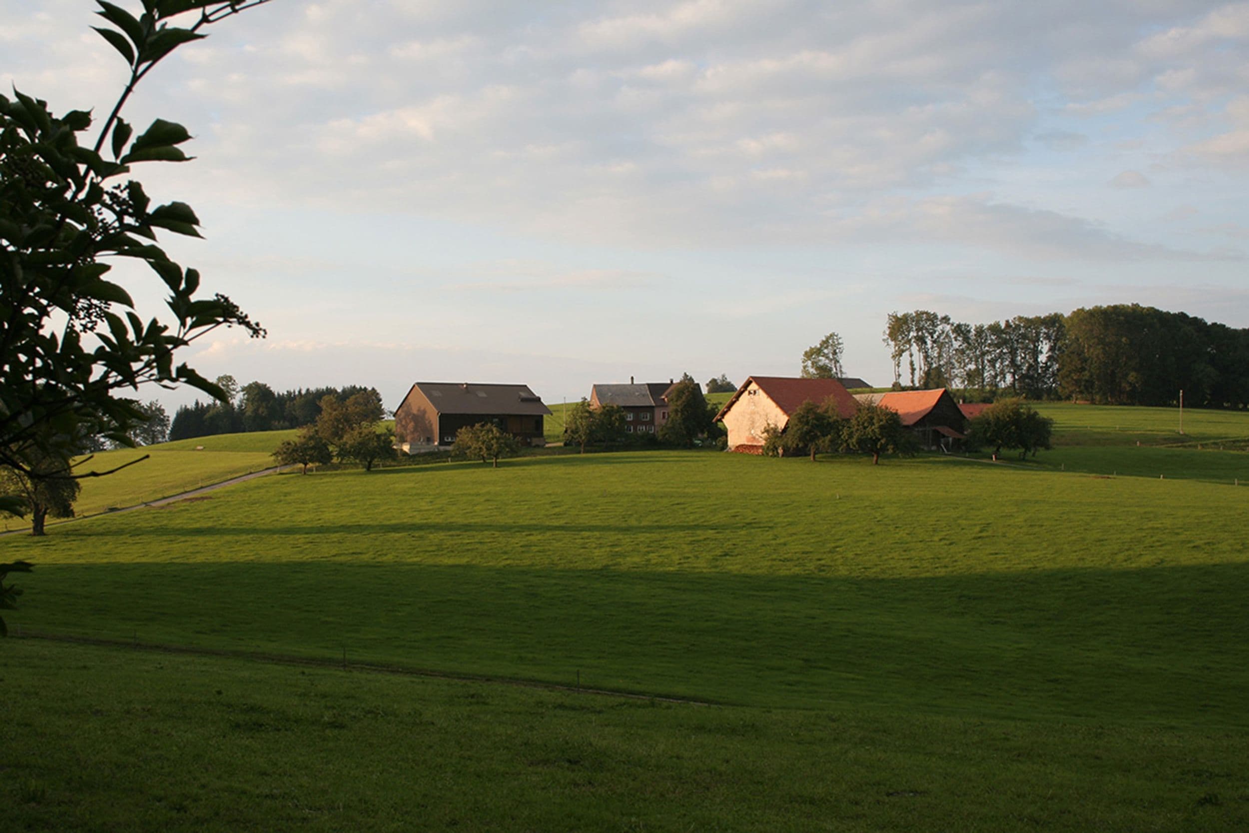 Eine Gruppe Bauernhäuser steht auf einer grünen Wiese außerhalb der Ziviliastion. 
