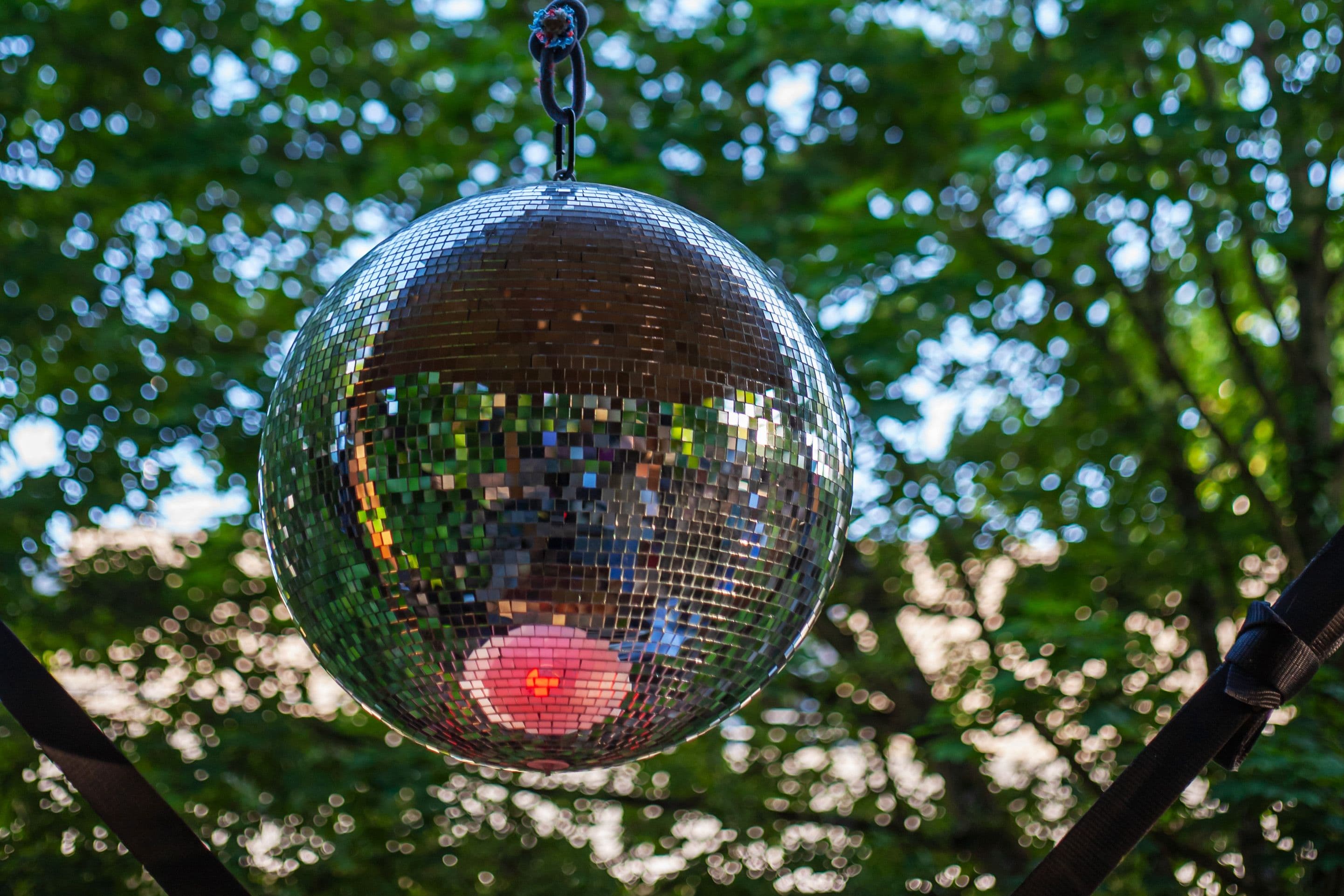 Eine Discokugel hängt in einem Baum