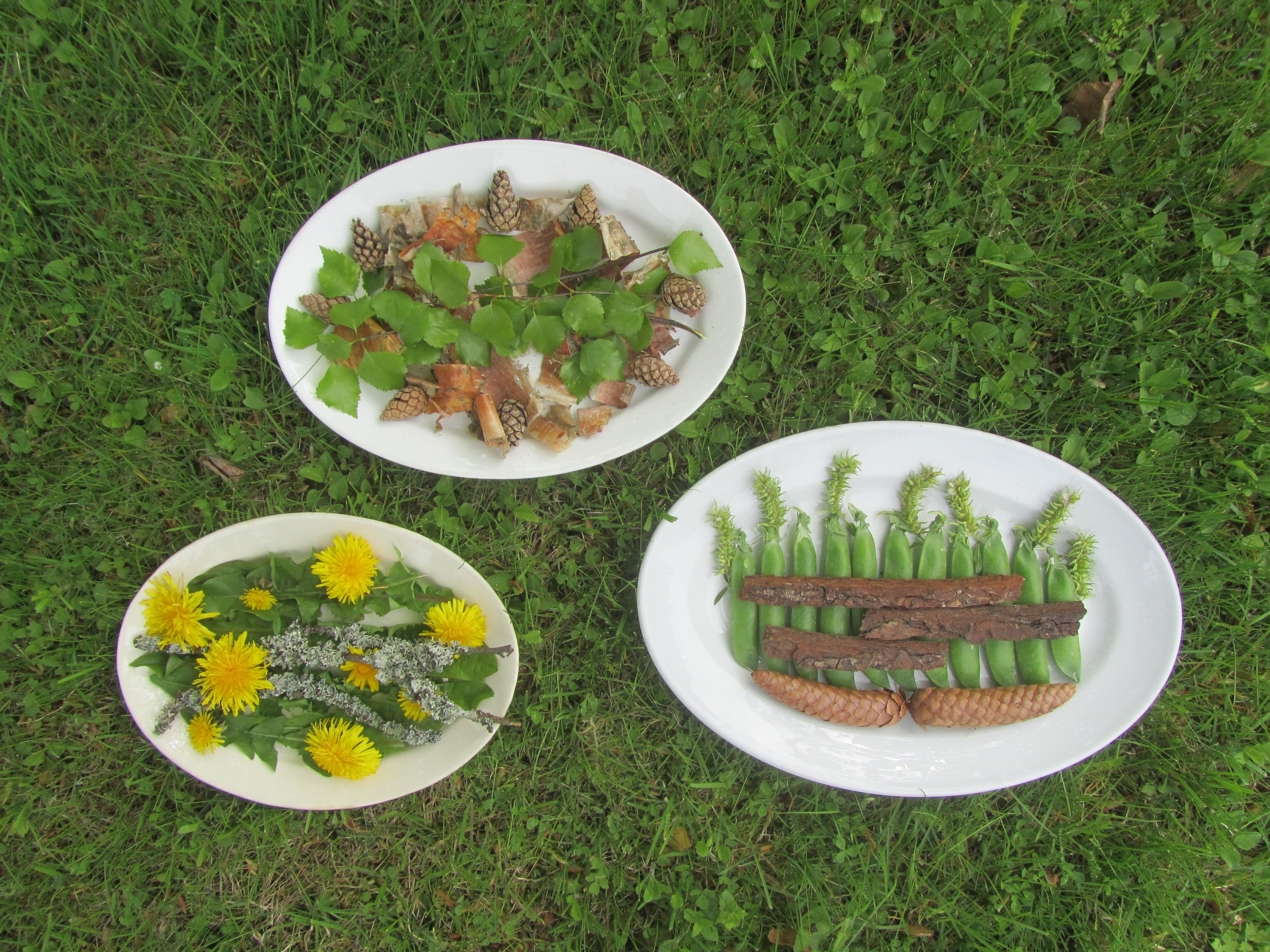 Auf  Gras liegen drei Teller, auf denen unterschiedlich arrangierte Naturobjekte präsentiert werden.
