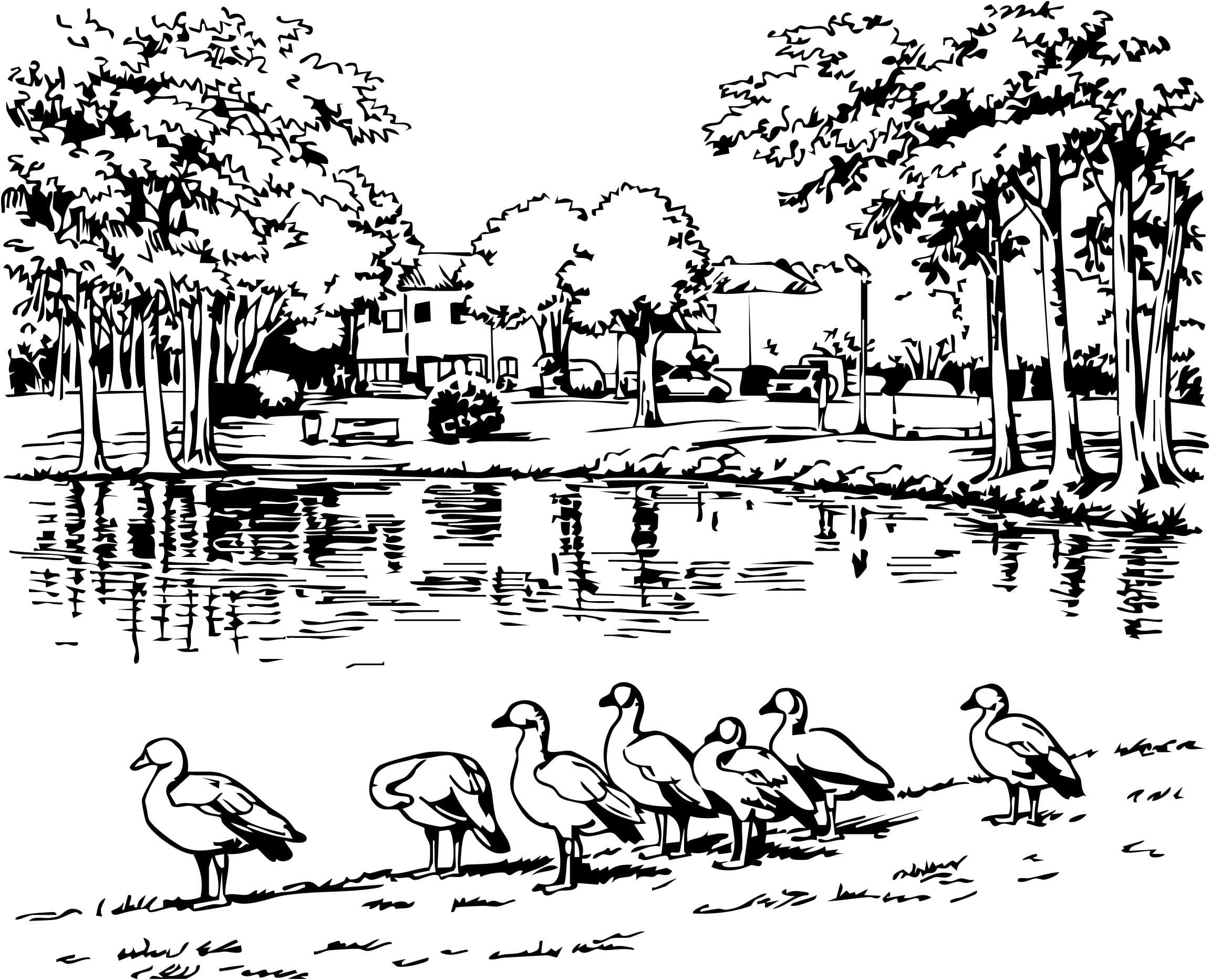 Grafik von einem See im Park