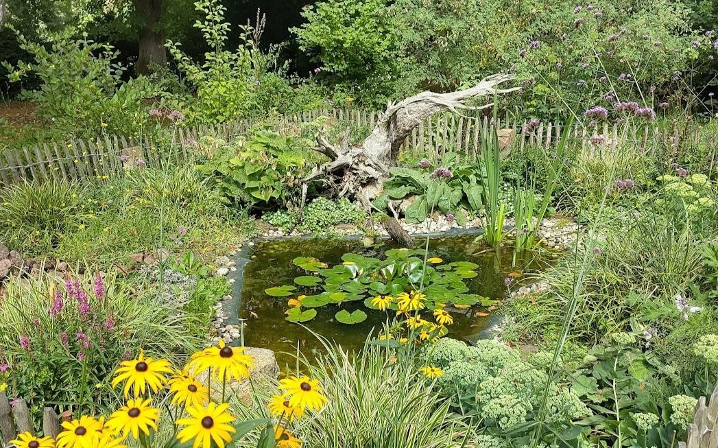 Ein bunter Garten mit gelben Blumen und einem Teich