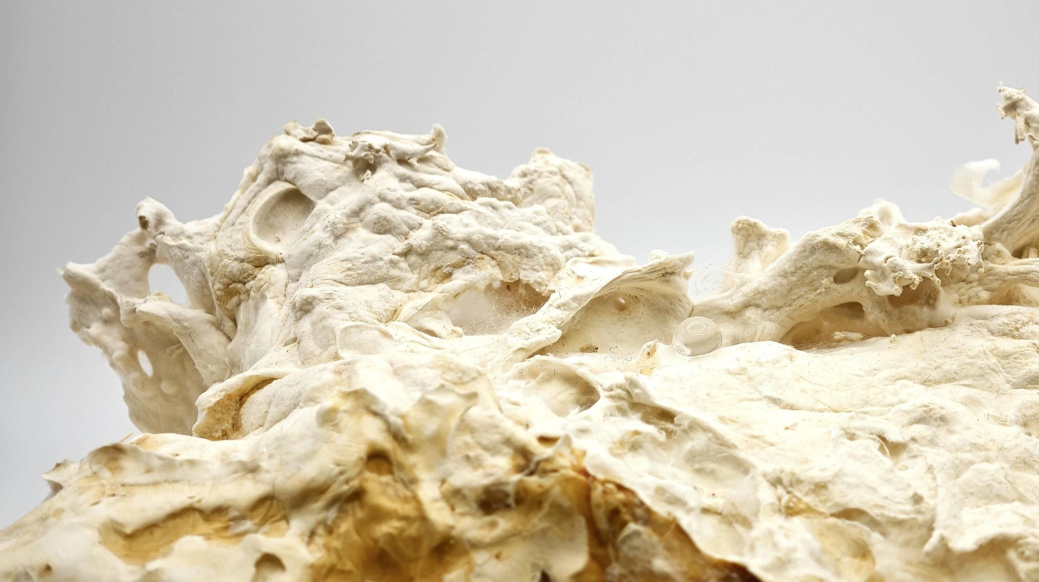 From Nature to Nature