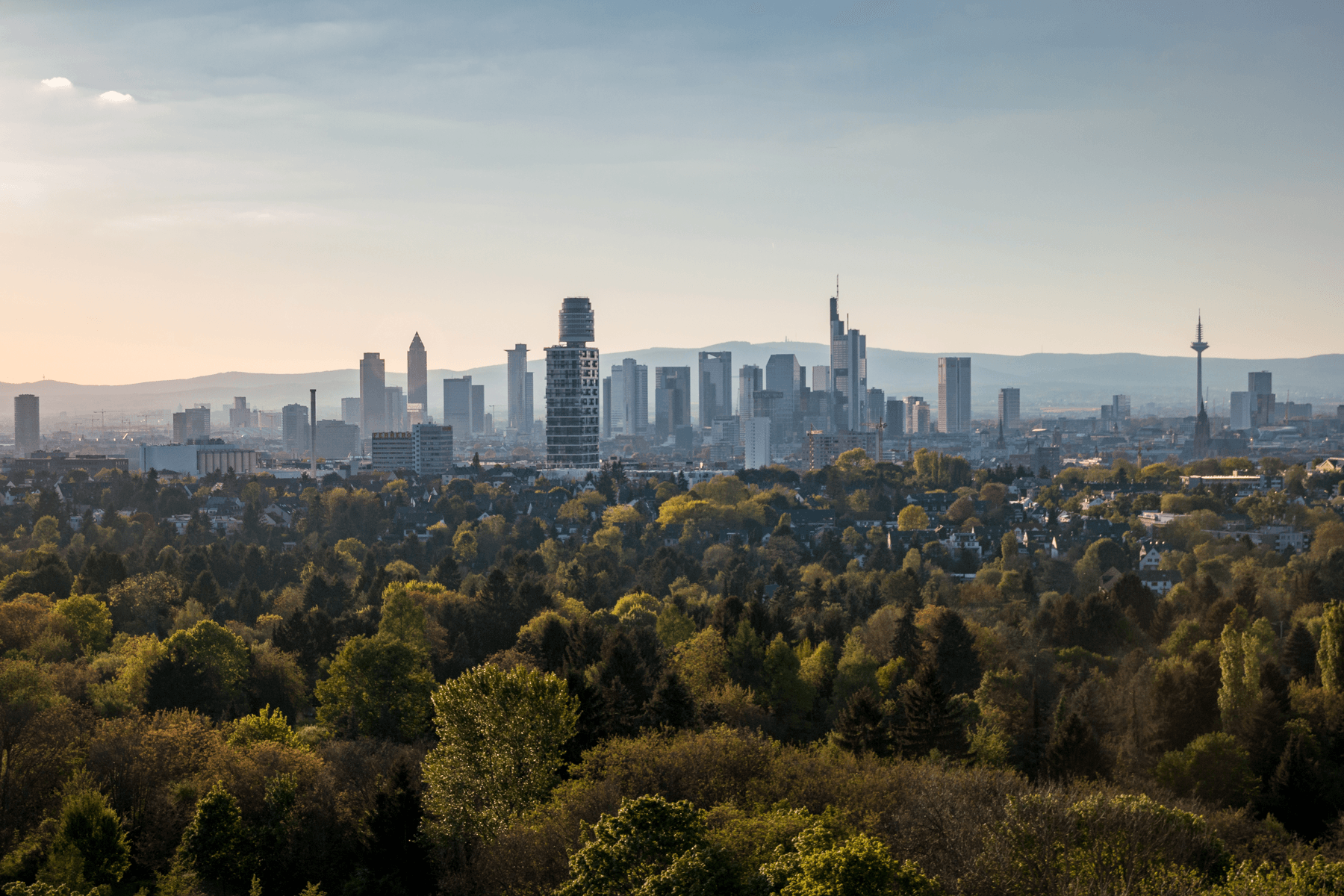 Frankfurt RheinMain