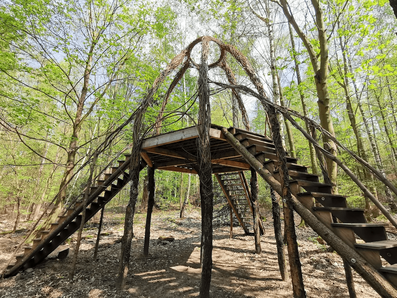 Eine Plattform aus Holz steht in einem Wald