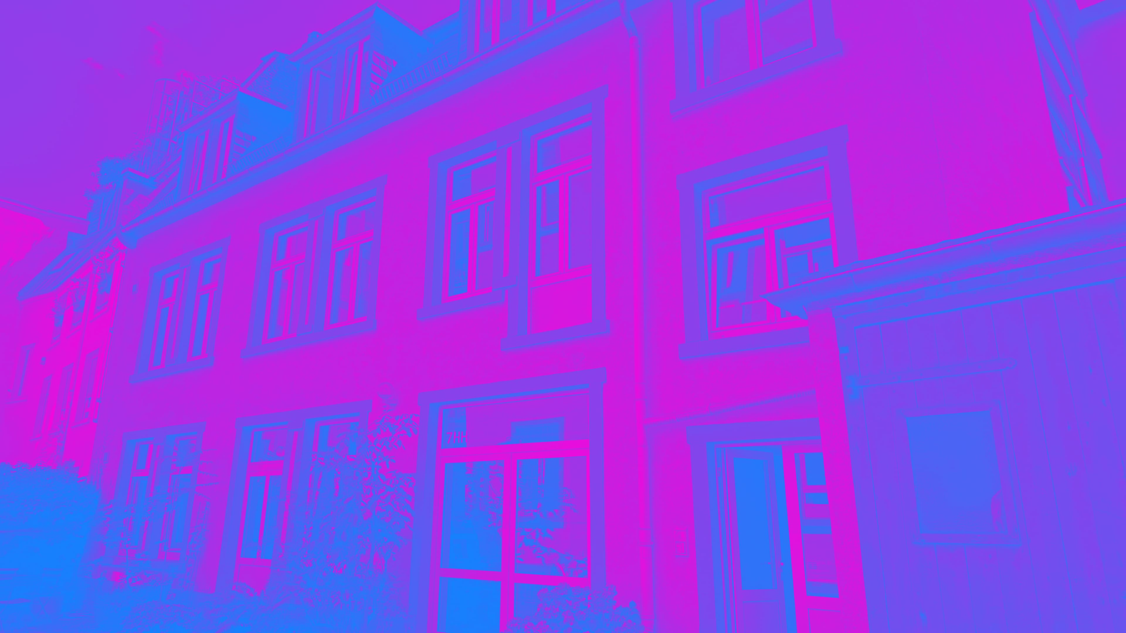 Ammon Studio für WDC Open