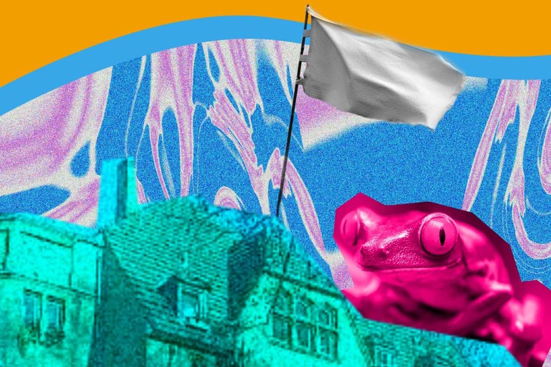 Ein Frosch schwingt eine weiße Fahne auf einer bunten Collage aus verschiedenen Bildern.
