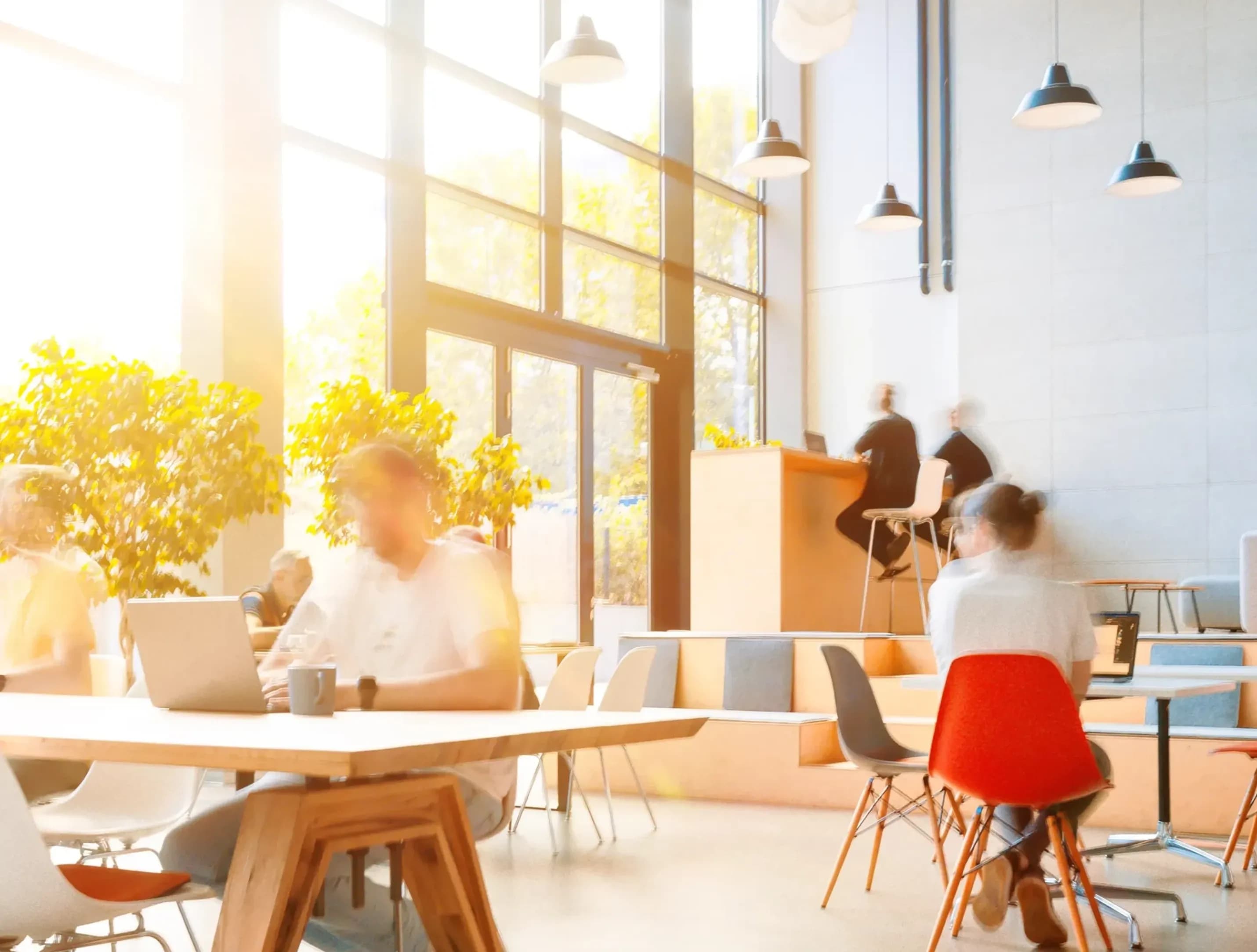 Aufnahme in ein modernes offenes Büro mit großer Fensterfront durch die warmes Licht fällt