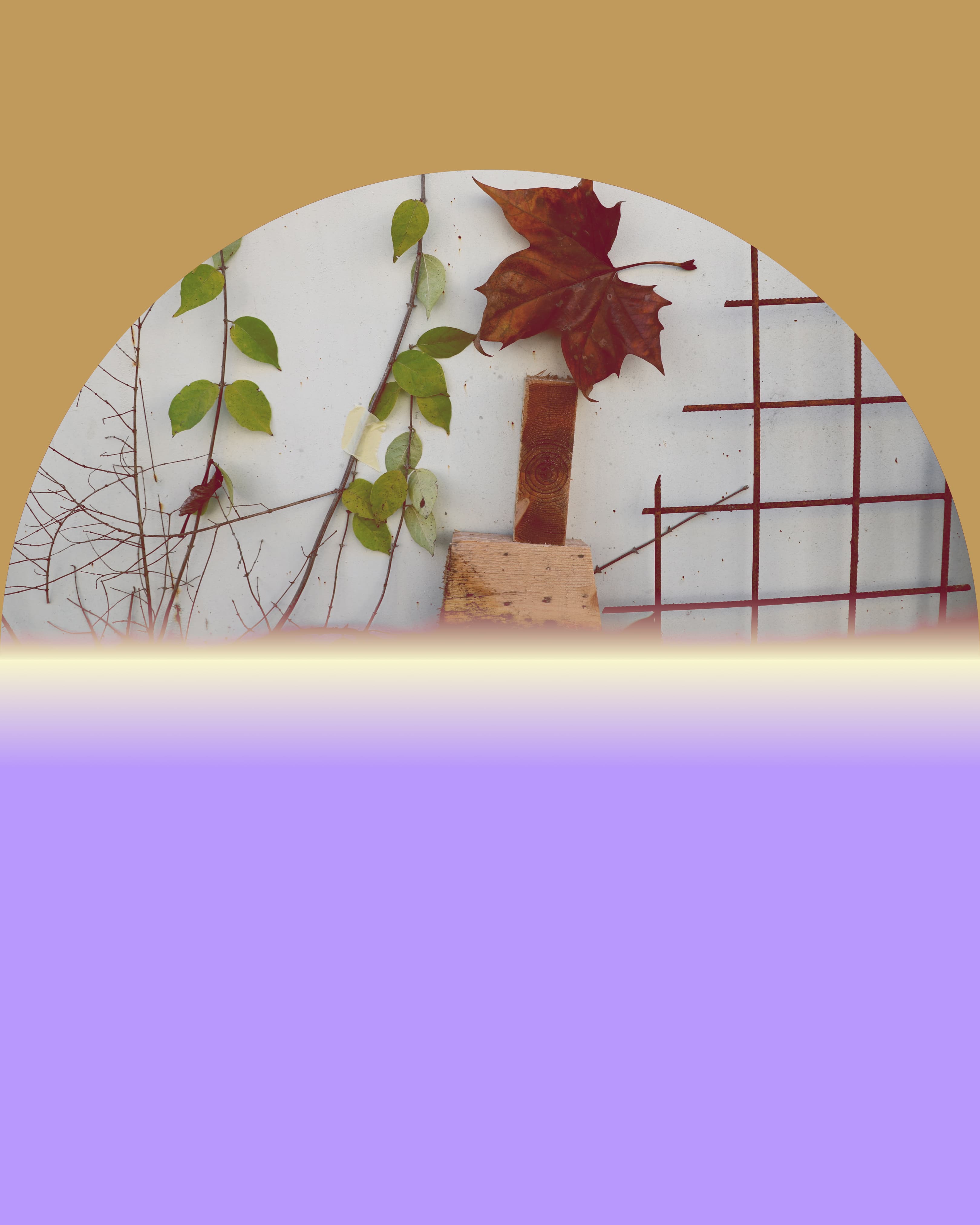 Buchkunstlabor_Naturselbstdruck