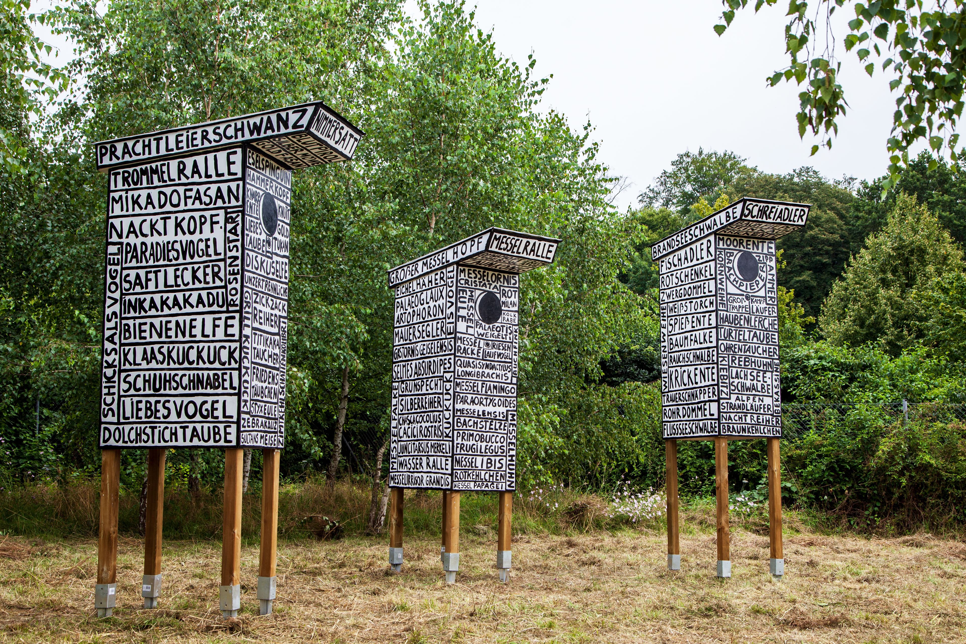 Waldkunst Demokratischer Wald beckmans_wolkenkuckucksheim_messel